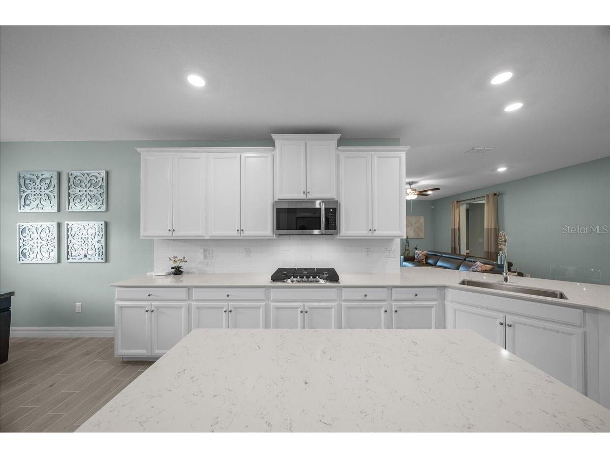 1130 SE 42nd Road Ocala FL 34480 OM719464 image62