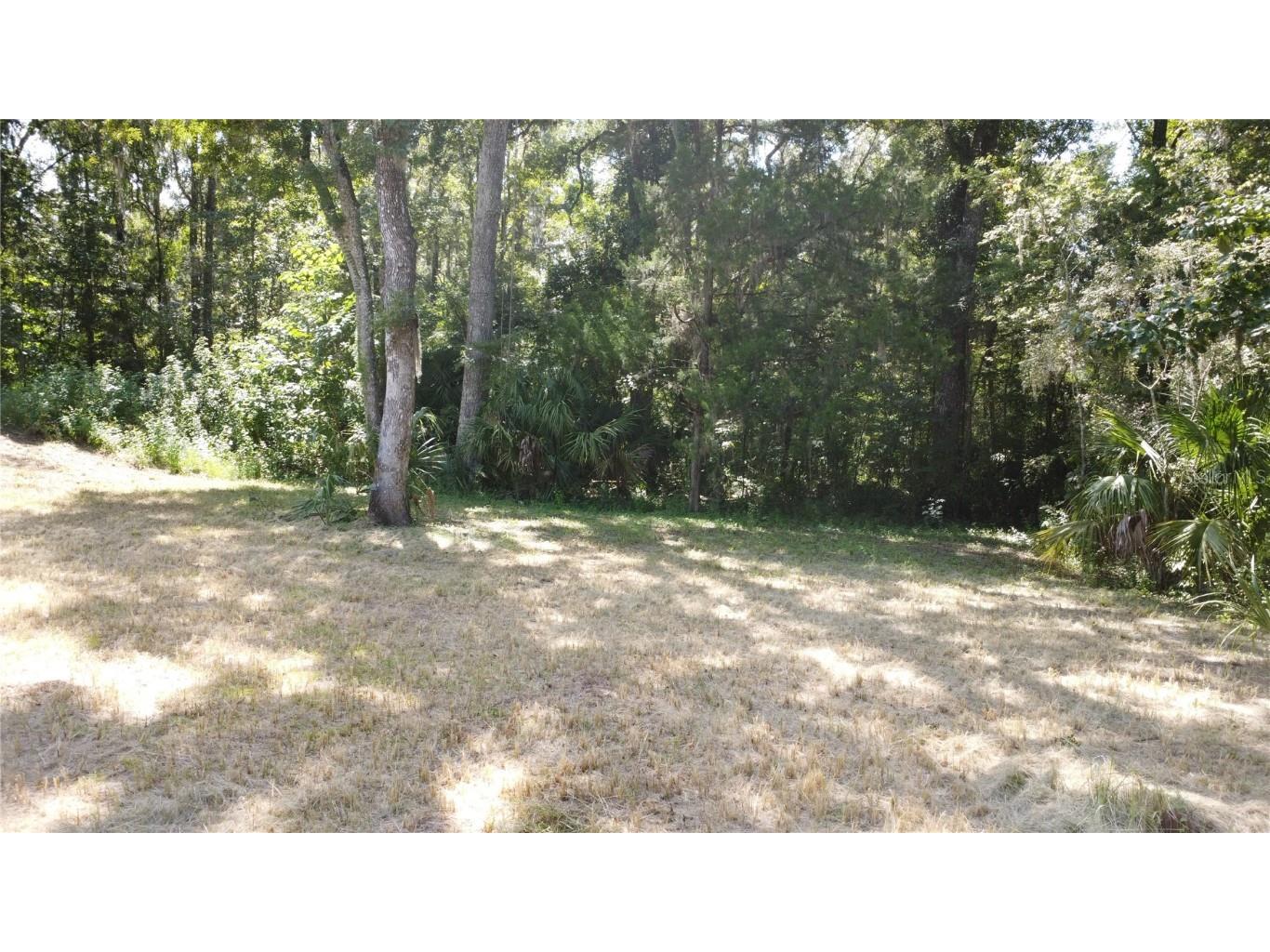 1130 SW 133rd Avenue Road Ocala FL 34481 O6350606 image5