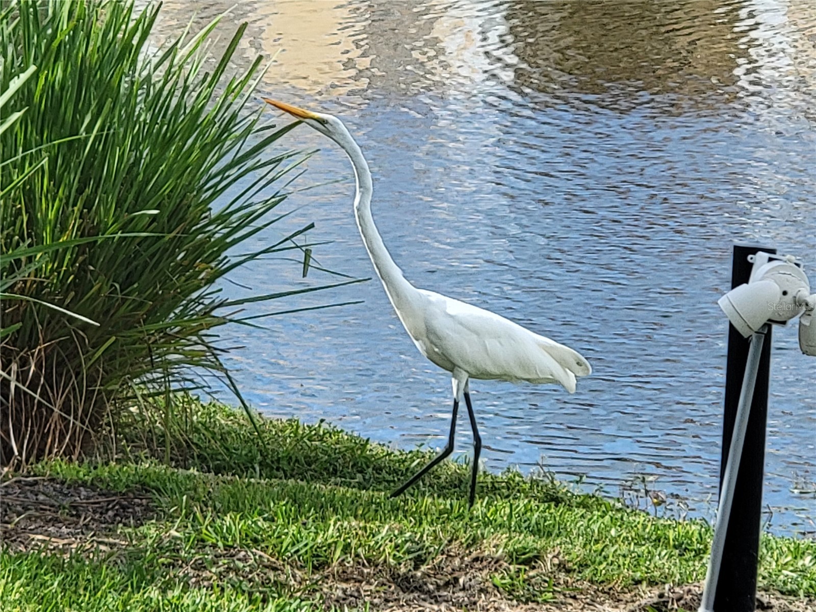 1130 Villagio Circle #101 Sarasota FL 34237 A4666105 image42