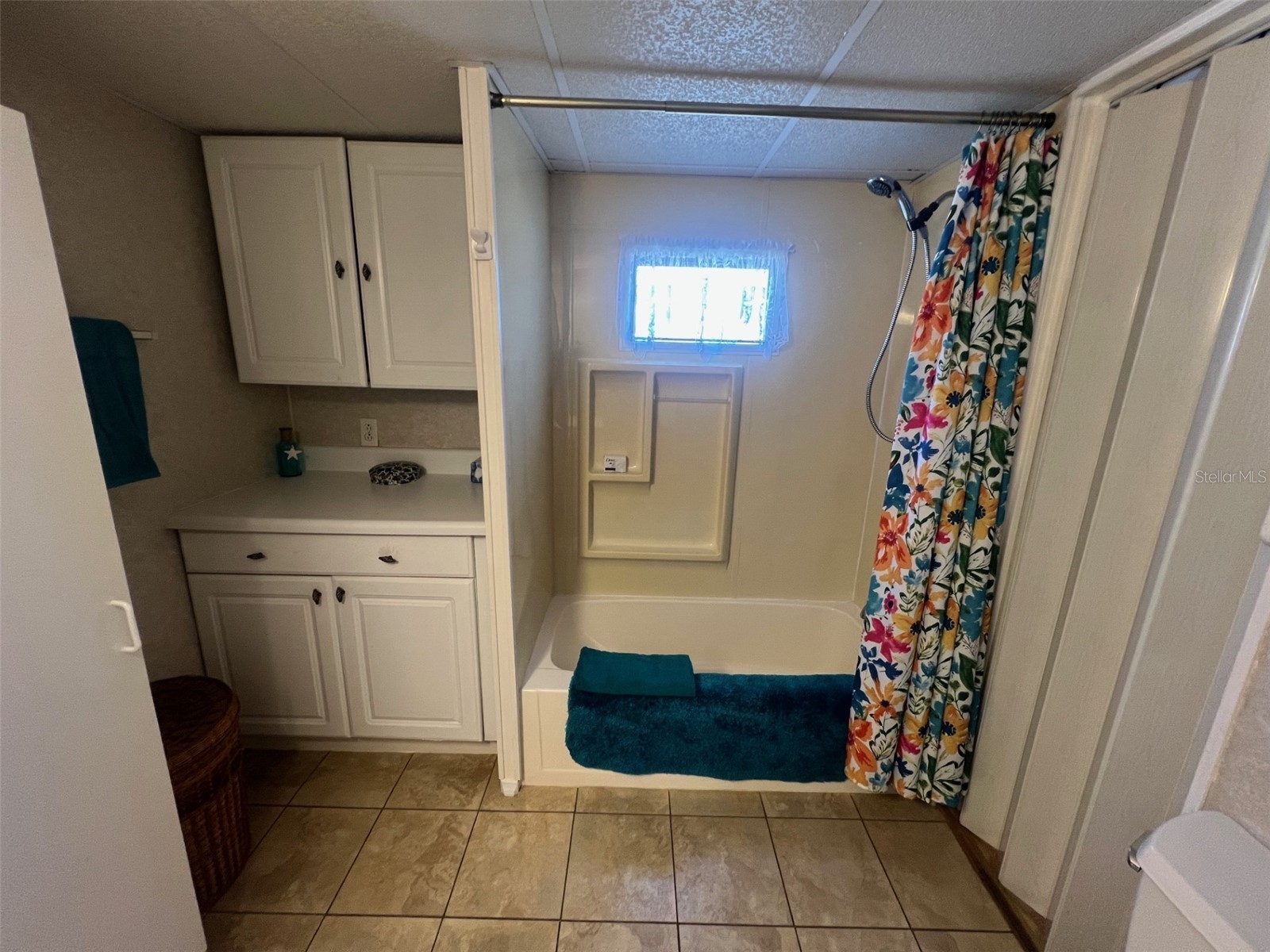 11300 124th Avenue #132 Largo FL 33778 TB8431249 image24