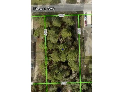 11300 Flower Avenue Weeki Wachee FL 34613 W7865399 image1