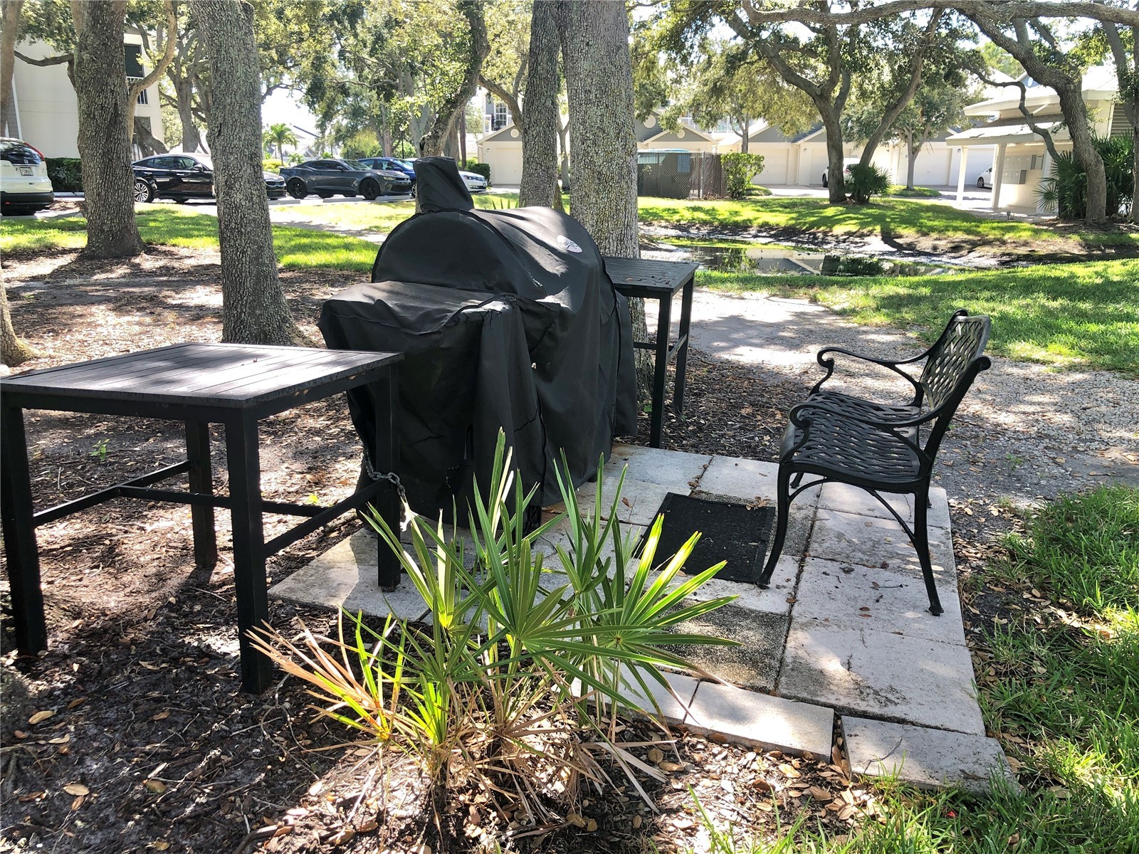 11300 Harbor Way #1731 Largo FL 33774 TB8479296 image49
