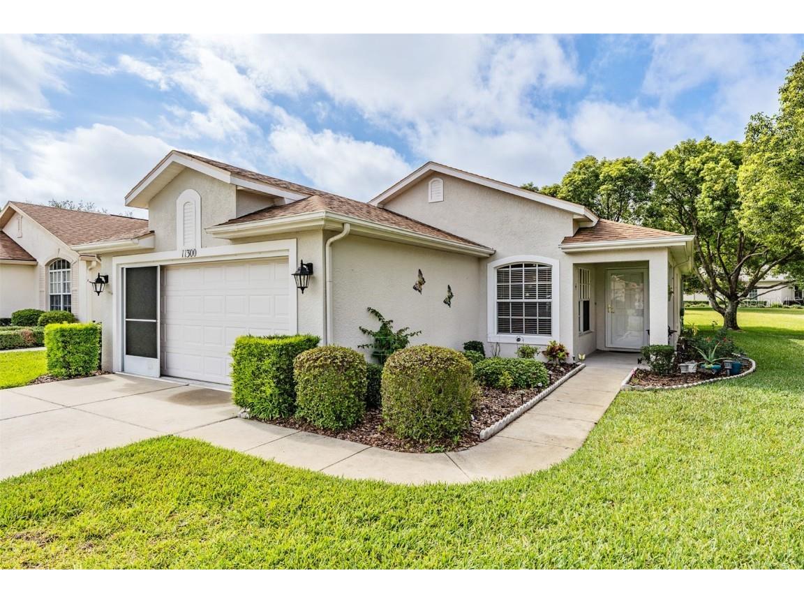 11300 Musgrove Mill Drive Spring Hill FL 34609 T3442803 image1