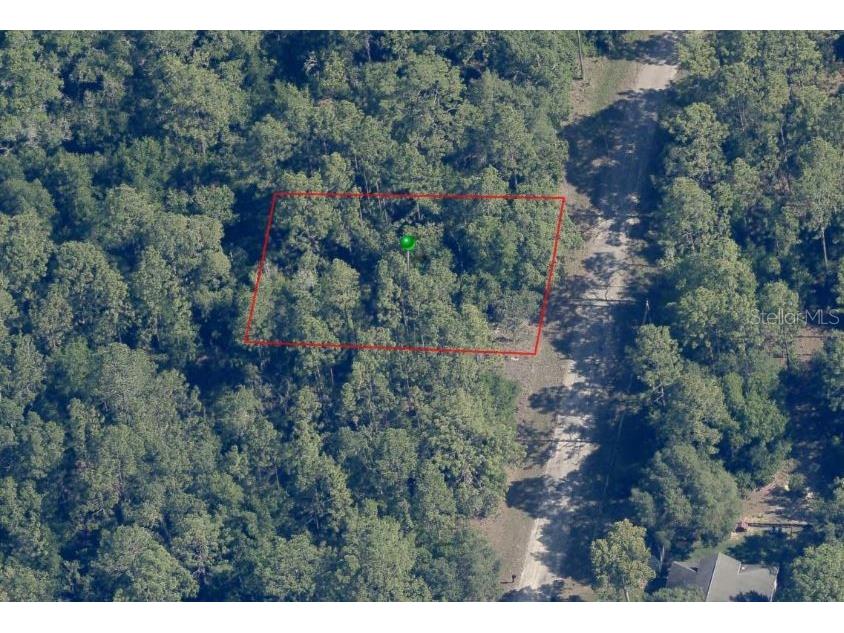 11300 N Angel Terrace Citrus Springs FL 34434 G5084312 image1
