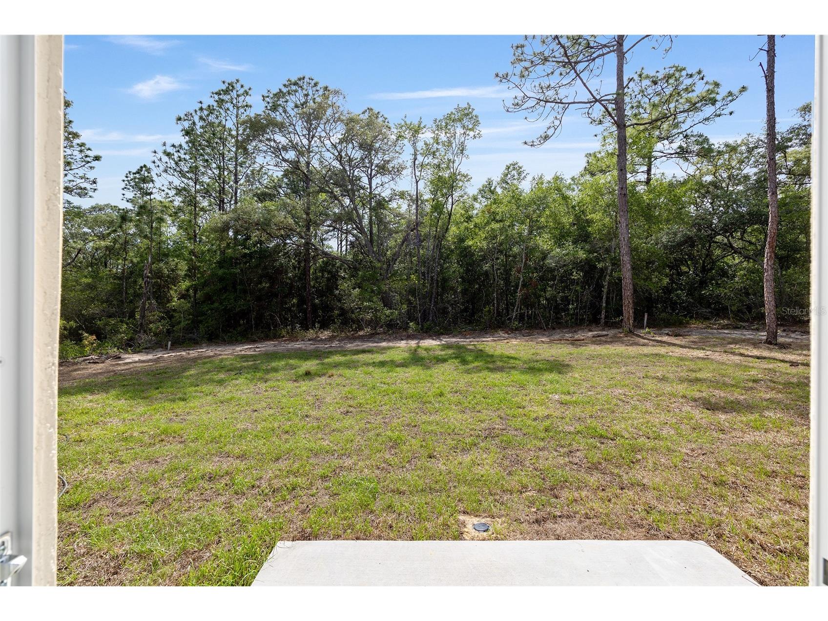 11300 N Angel Terrace Citrus Springs FL 34434 OM725314 image20