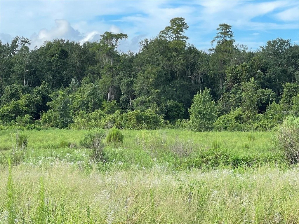 11301 Claytor Road Clermont FL 34714 S5131945 image16