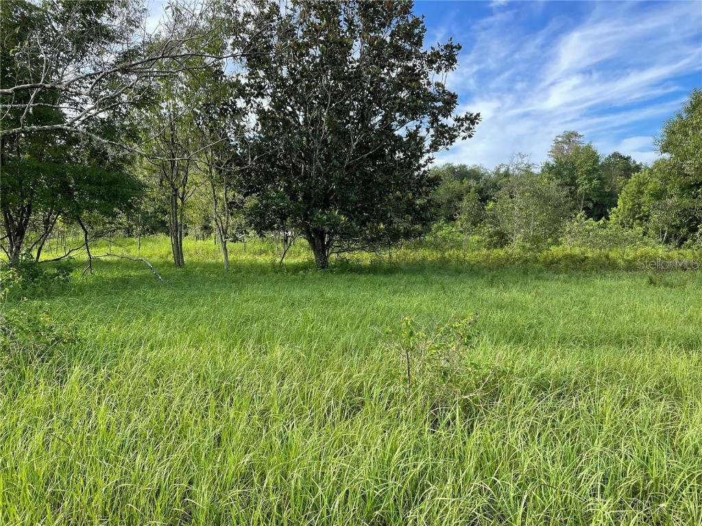 11301 Claytor Road Clermont FL 34714 S5131945 image18