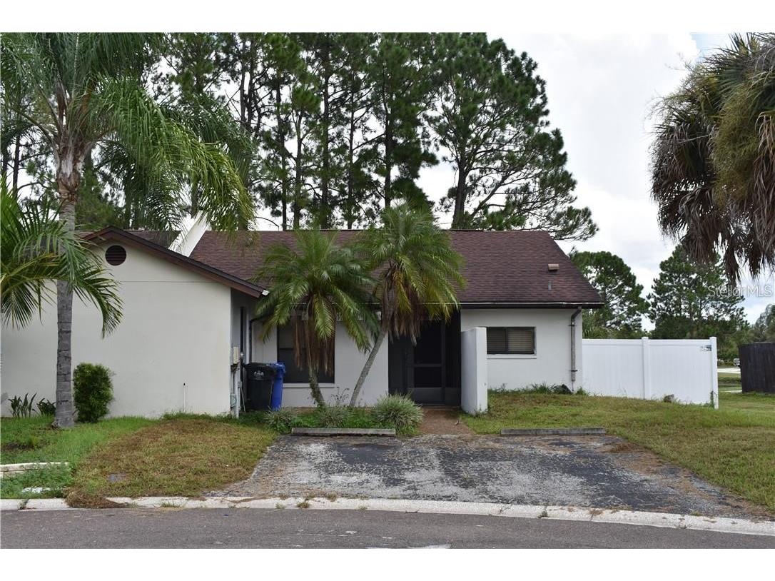 11301 Darewood Place Tampa FL 33624 T3439232 image1