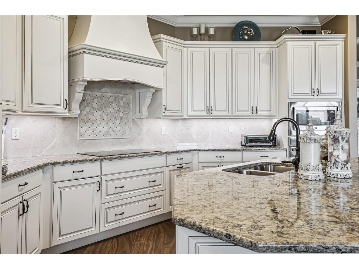 11302 Little Nellie Drive Clermont FL 34711 - LITTLE LAKE NELLIE G5101993 image11