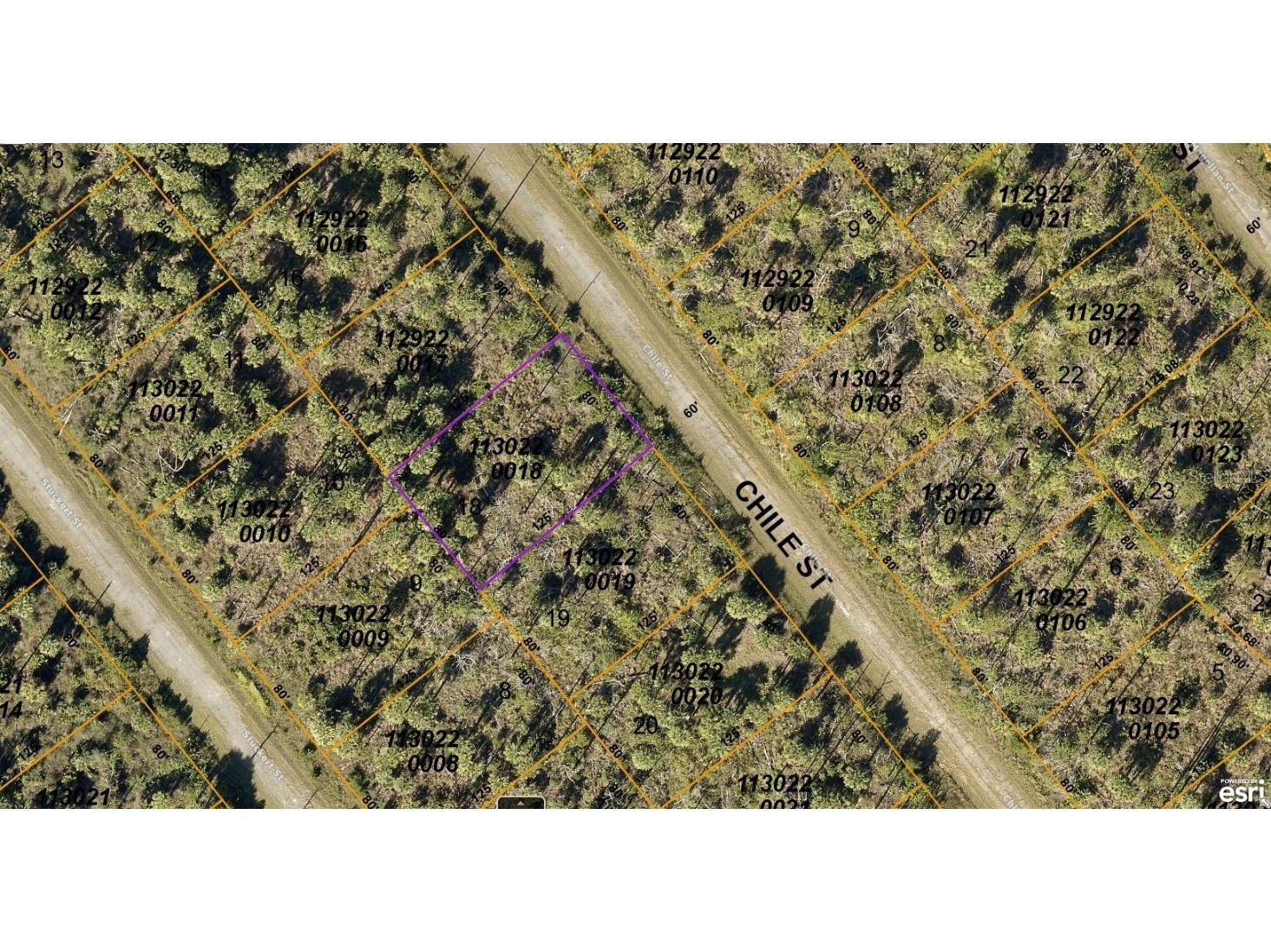 1130220018 Chile Street North Port FL 34288 A4572007 image1