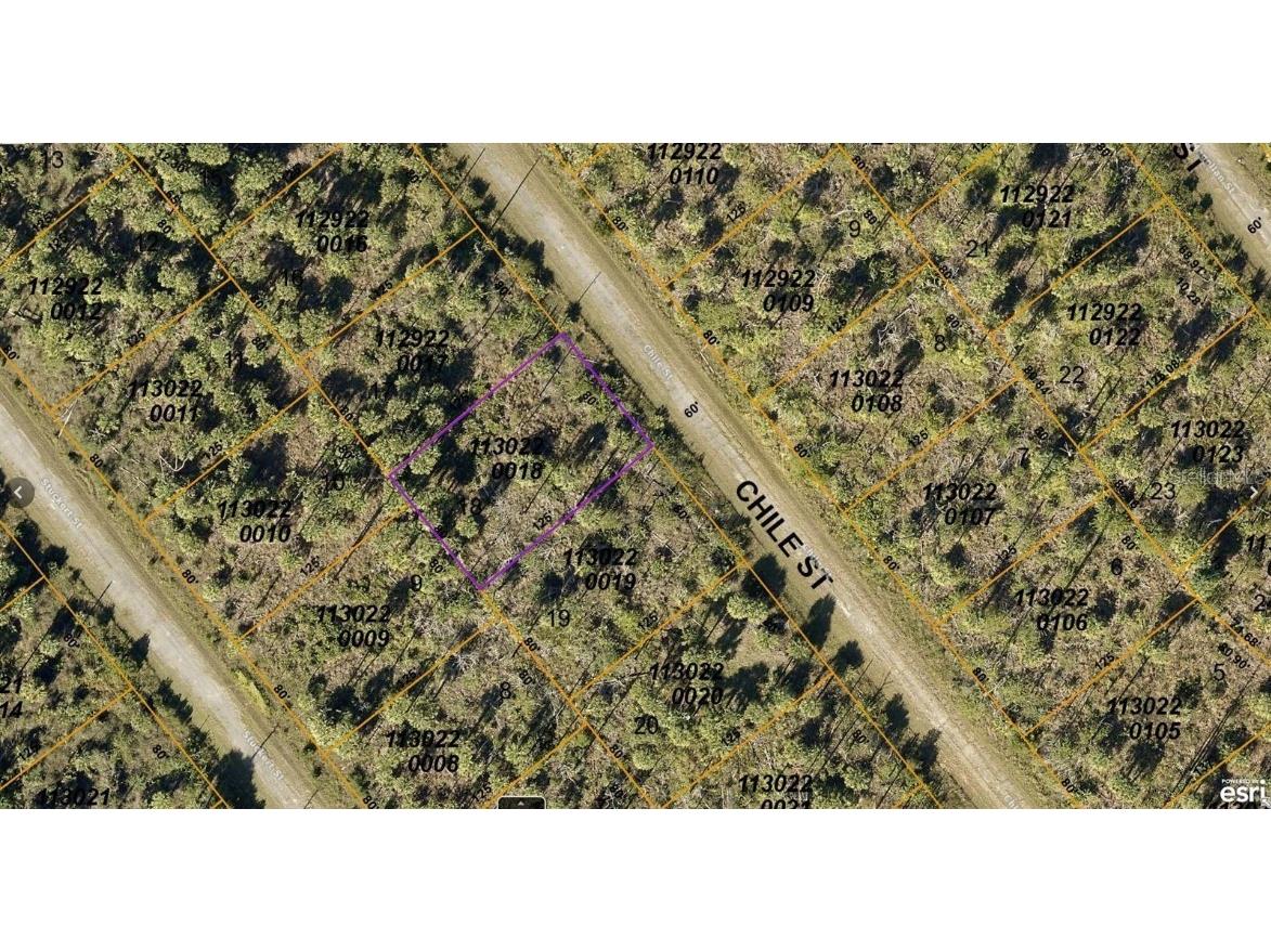 1130220018 Chile Street North Port FL 34288 A4589649 image1
