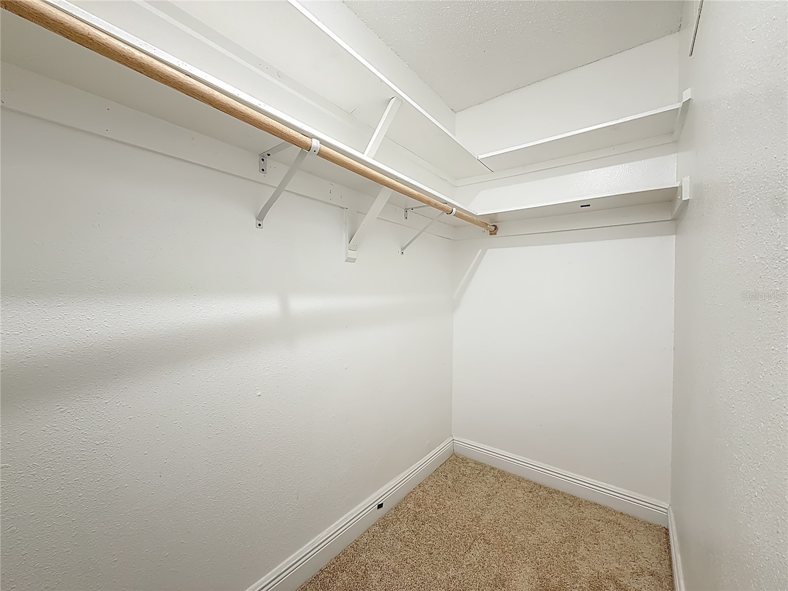 11303 122nd Terrace Largo FL 33778 TB8495734 image39