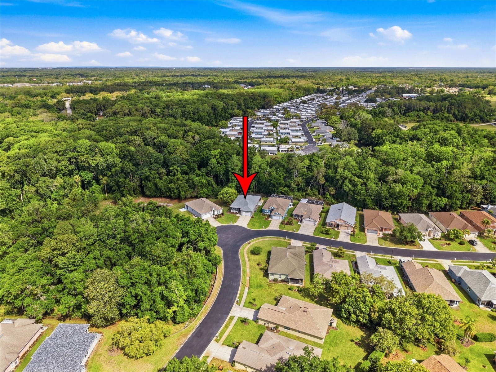 11303 Clear Oak Circle New Port Richey FL 34654 TB8495100 image70