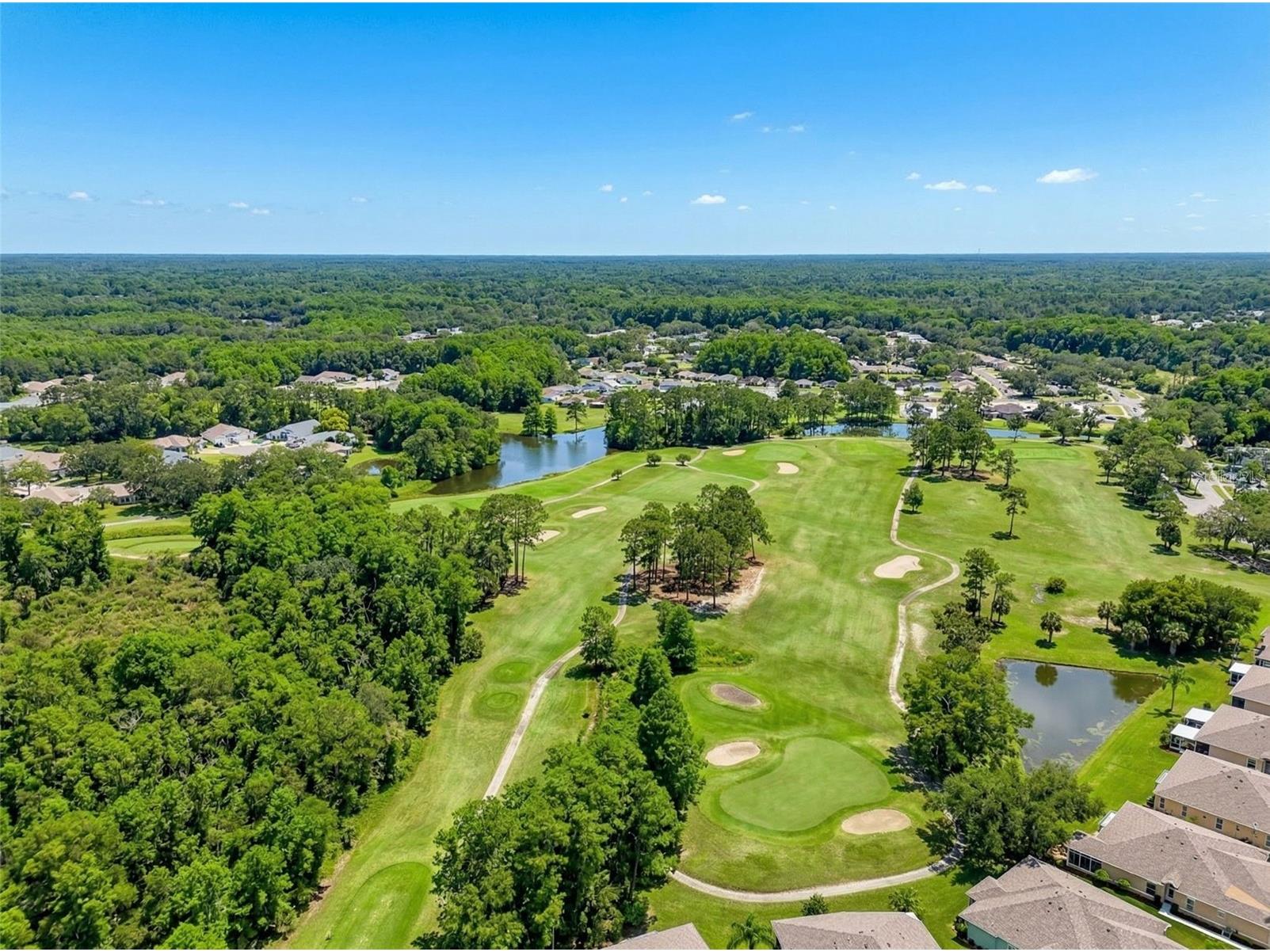 11303 Clear Oak Circle New Port Richey FL 34654 TB8495100 image92