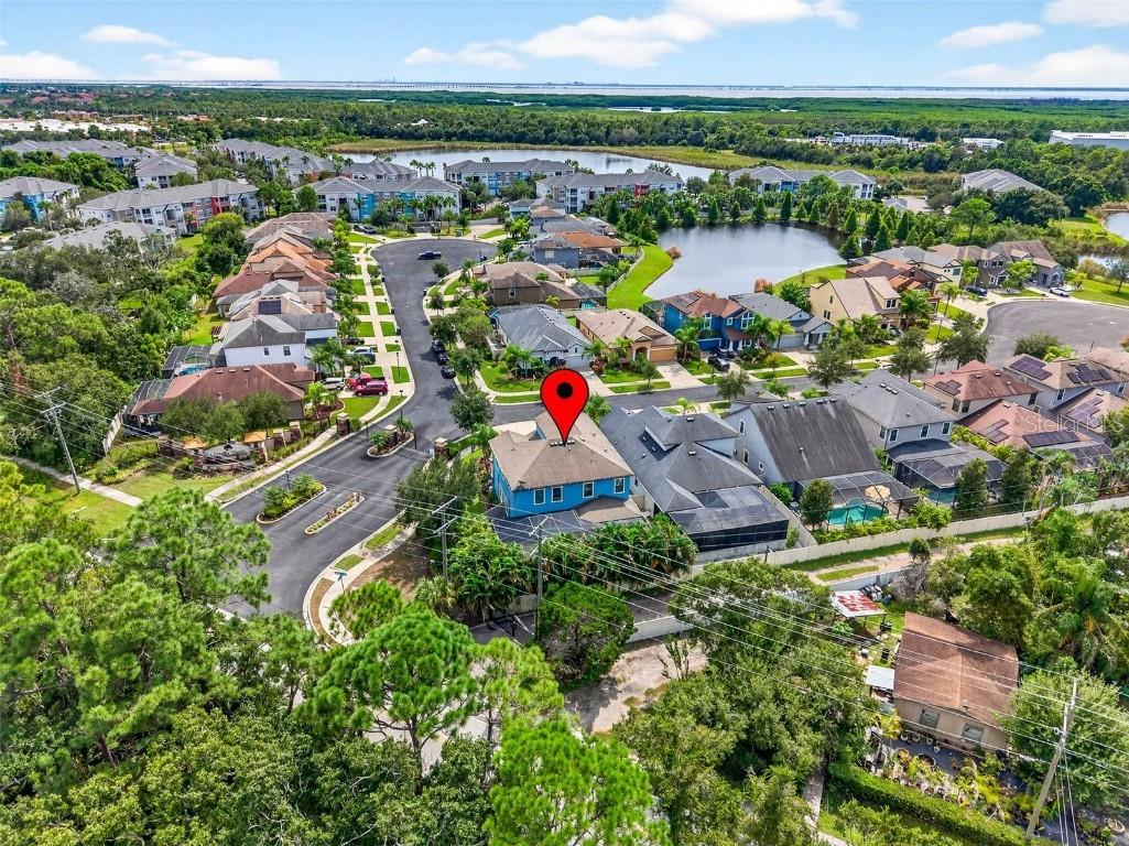 11303 Lazy Hickory Lane Tampa FL 33635 TB8433242 image73