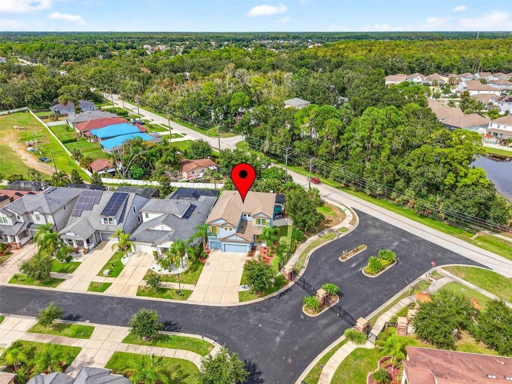 11303 Lazy Hickory Lane Tampa FL 33635 TB8433242 image76