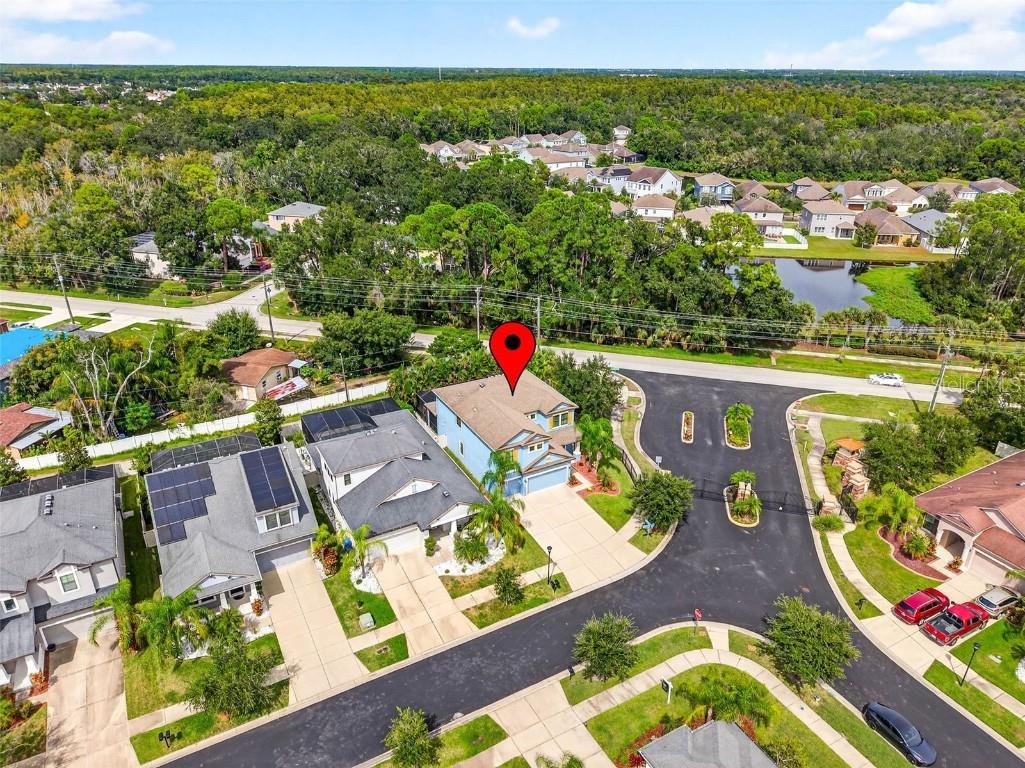 11303 Lazy Hickory Lane Tampa FL 33635 TB8433242 image77