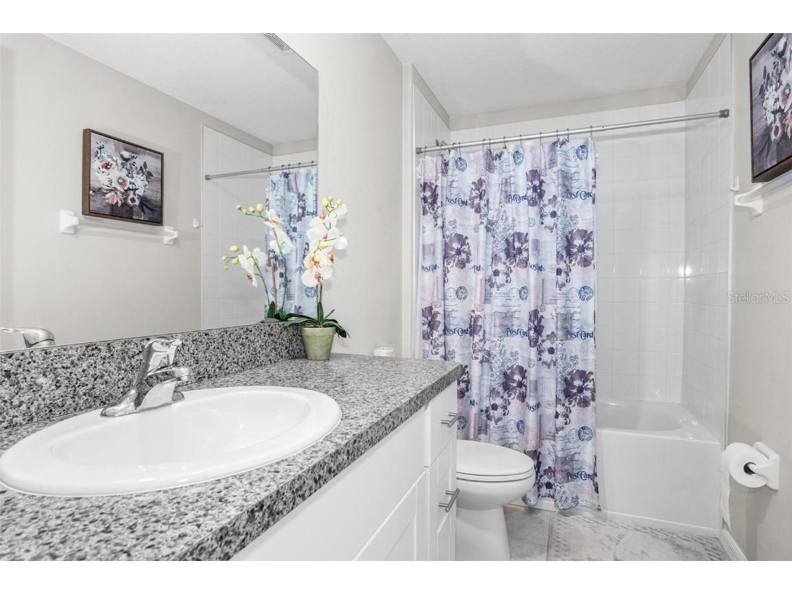 11303 Misty Moss Drive Wimauma FL 33598 TB8403919 image21