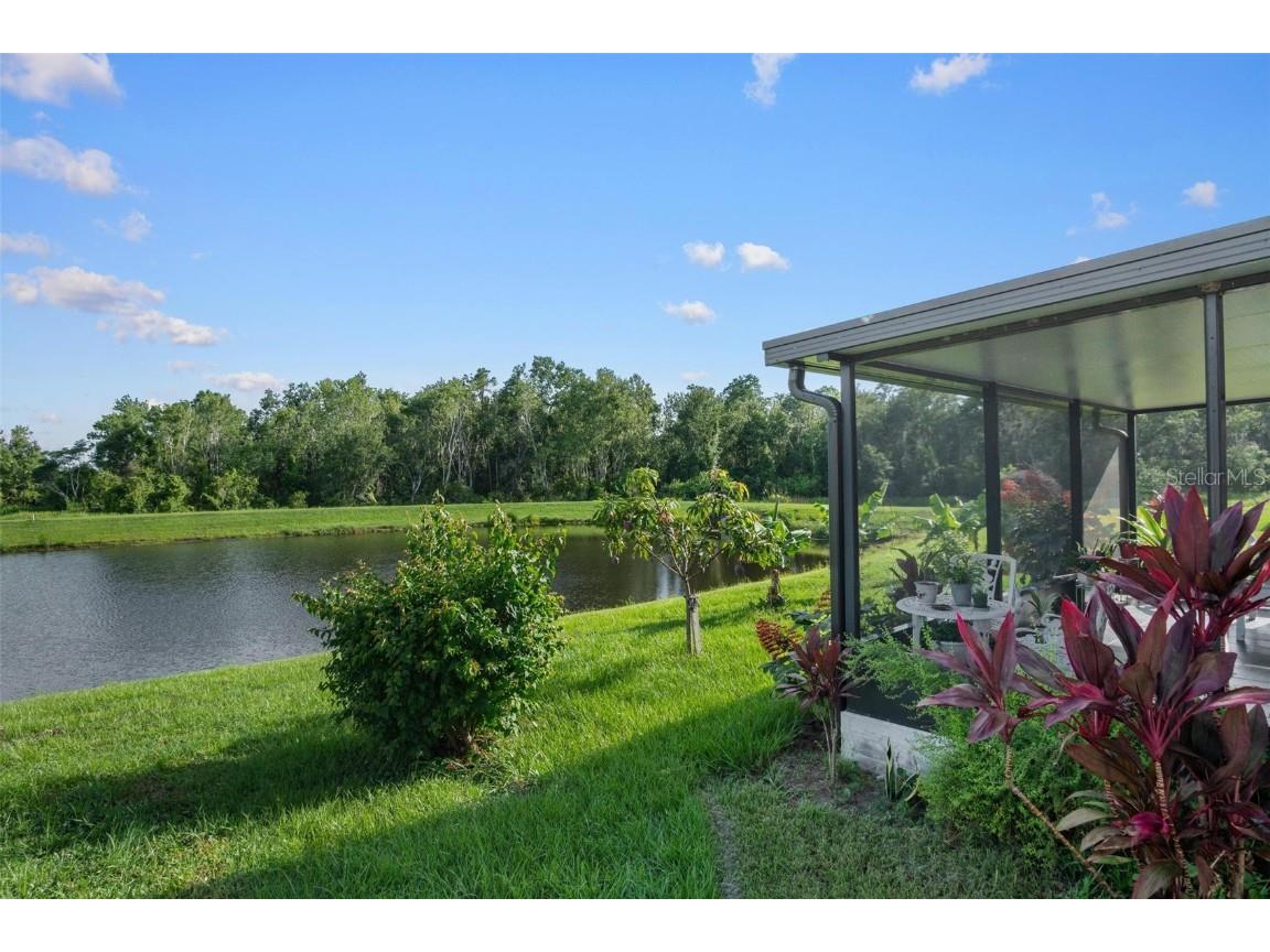 11303 Misty Moss Drive Wimauma FL 33598 TB8403919 image27