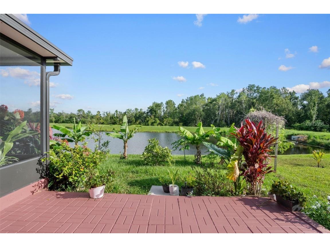 11303 Misty Moss Drive Wimauma FL 33598 TB8403919 image29