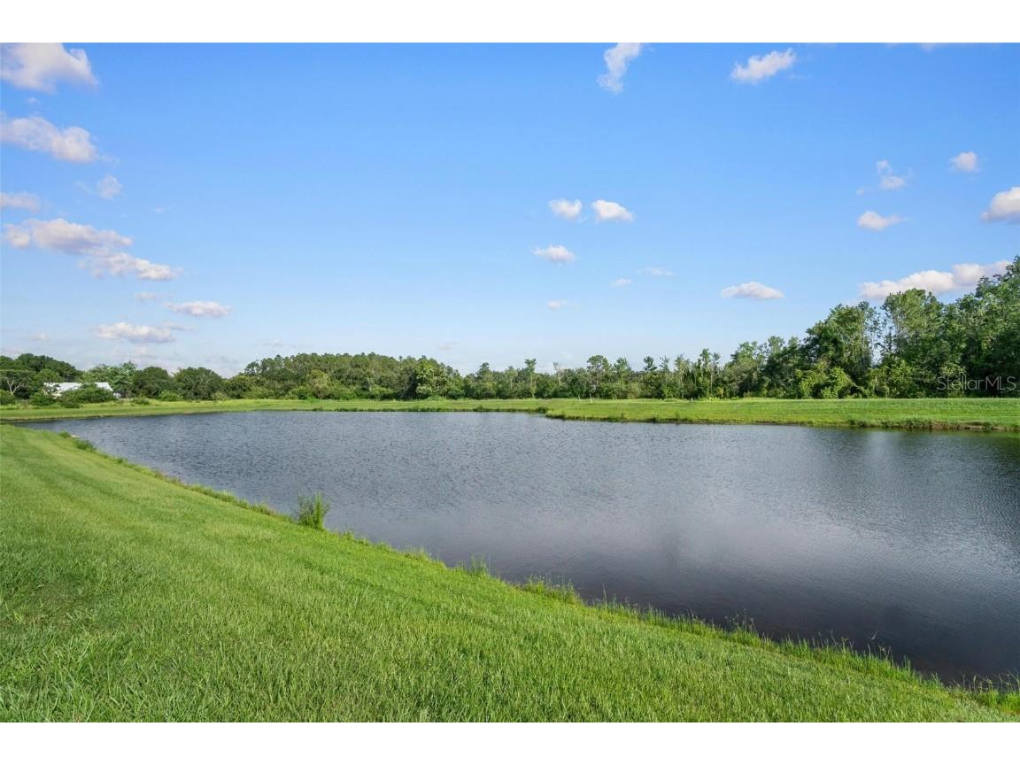 11303 Misty Moss Drive Wimauma FL 33598 TB8403919 image30