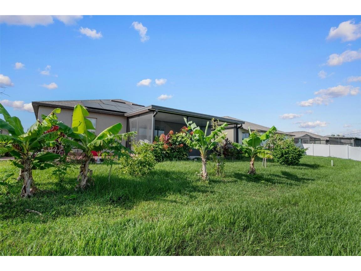 11303 Misty Moss Drive Wimauma FL 33598 TB8403919 image31