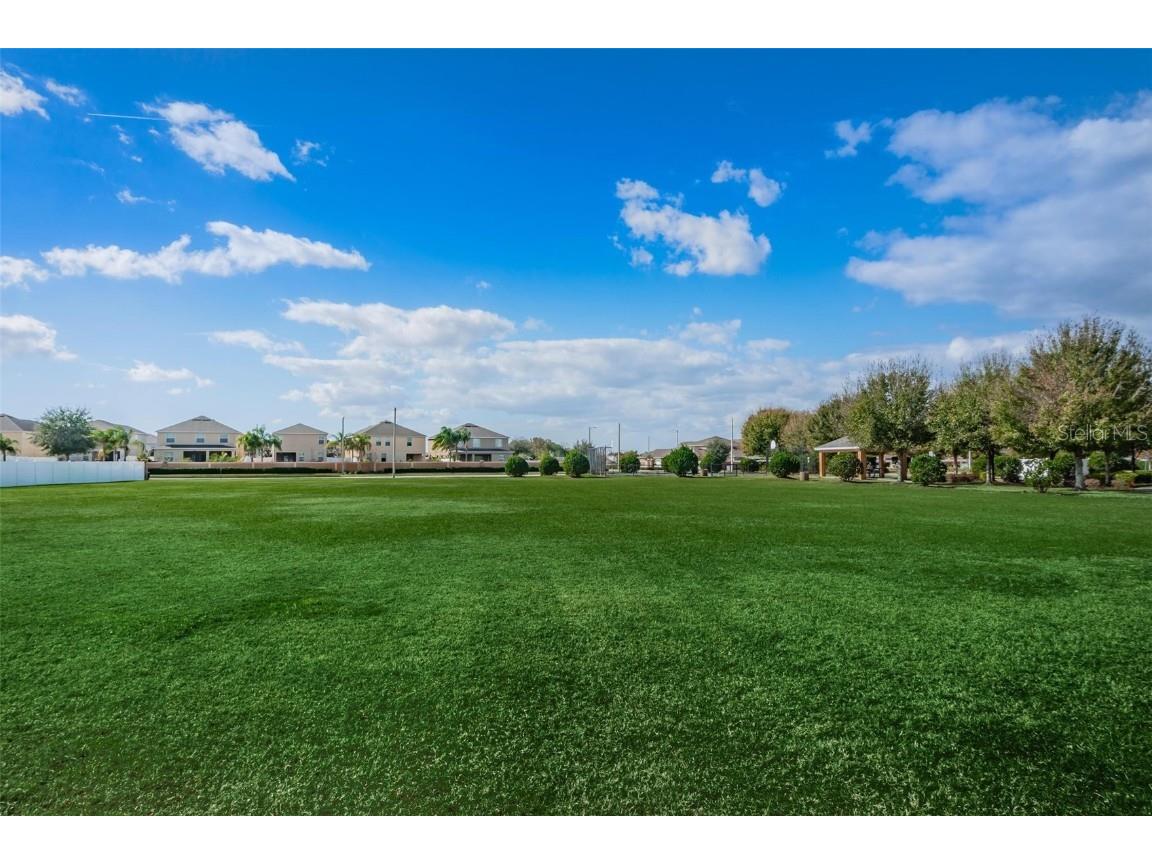 11303 Misty Moss Drive Wimauma FL 33598 TB8403919 image35