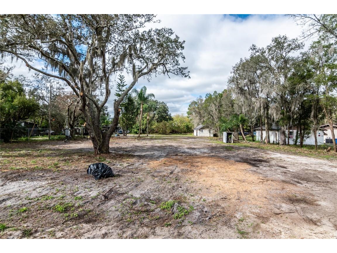 11303 Stanwood Drive Riverview FL 33569 T3501253 image1