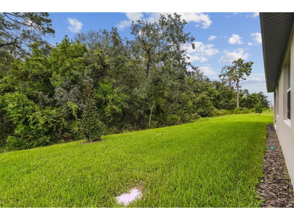 11303 Striped Bass Court New Port Richey FL 34654 TB8401978 image71