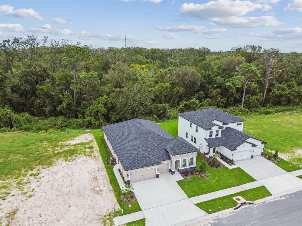 11303 Striped Bass Court New Port Richey FL 34654 TB8401978 image86