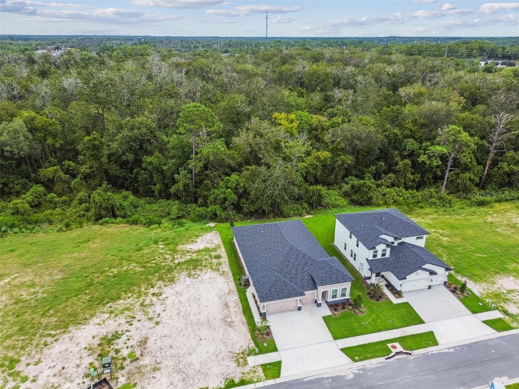 11303 Striped Bass Court New Port Richey FL 34654 TB8401978 image87