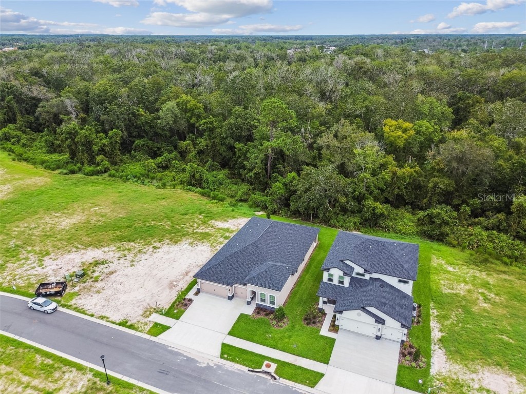 11303 Striped Bass Court New Port Richey FL 34654 TB8401978 image89