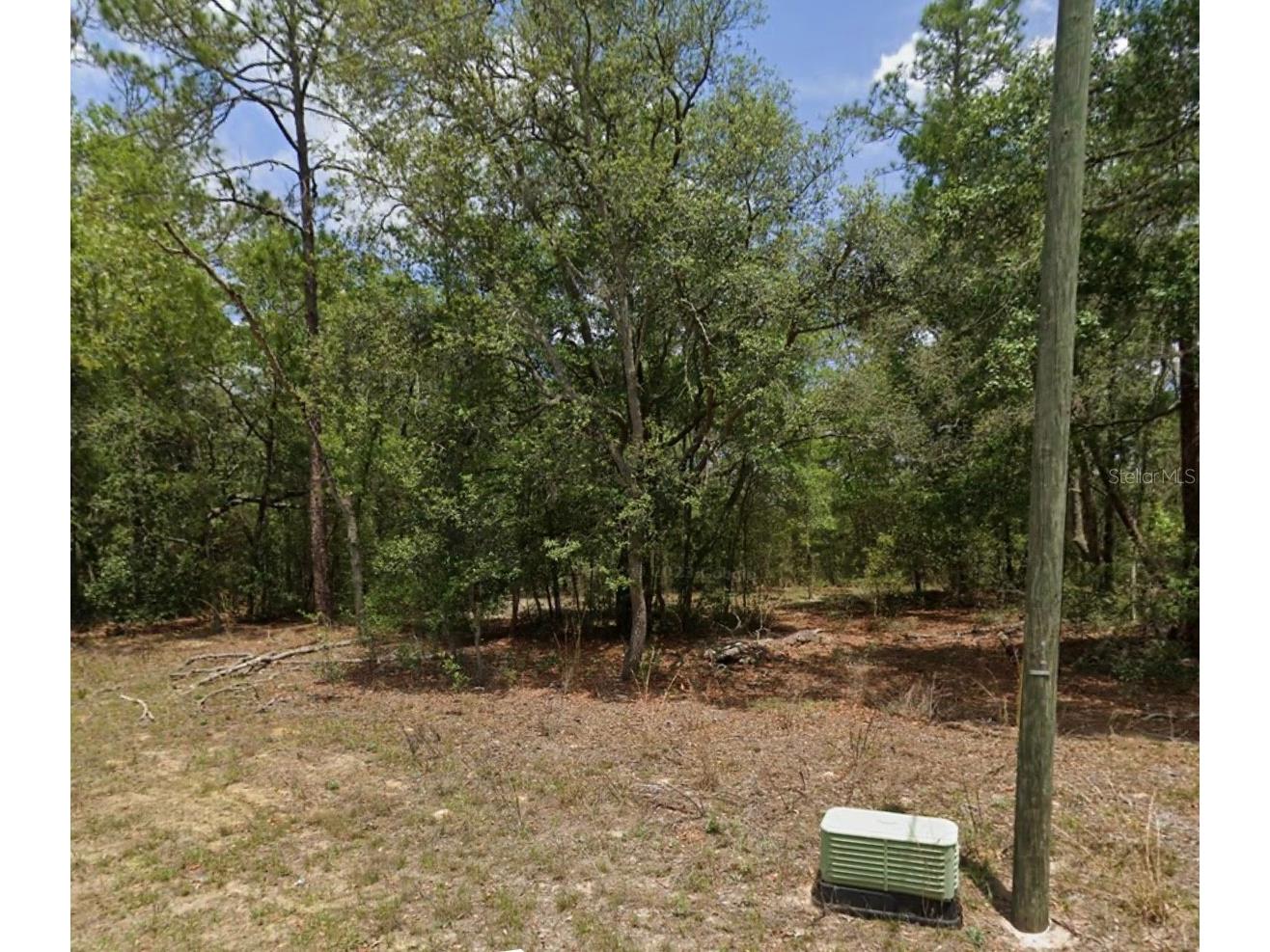 11304 N Fuego Drive Citrus Springs FL 34434 V4948750 image1