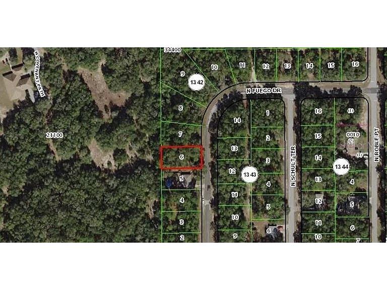 11304 N Fuego Drive Citrus Springs FL 34434 V4948750 image2