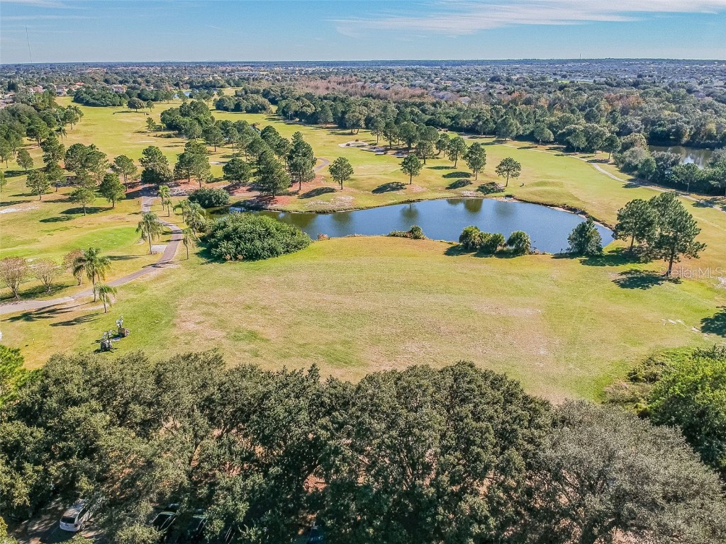 11304 Plumtree Court Riverview FL 33579 TB8402784 image88