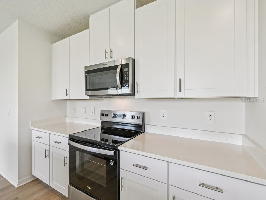 11305 Bellewood Terrace Parrish FL 34219 O6332289 image7