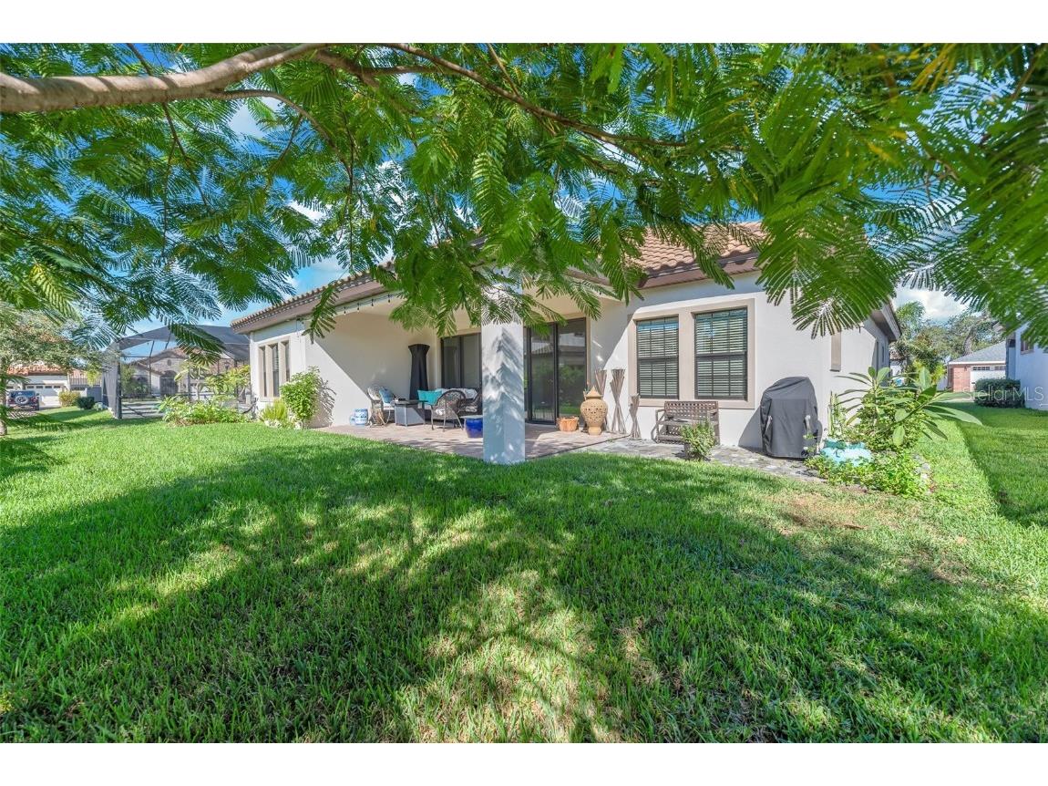 11305 Hawks Fern Drive Riverview FL 33569 TB8443436 image24