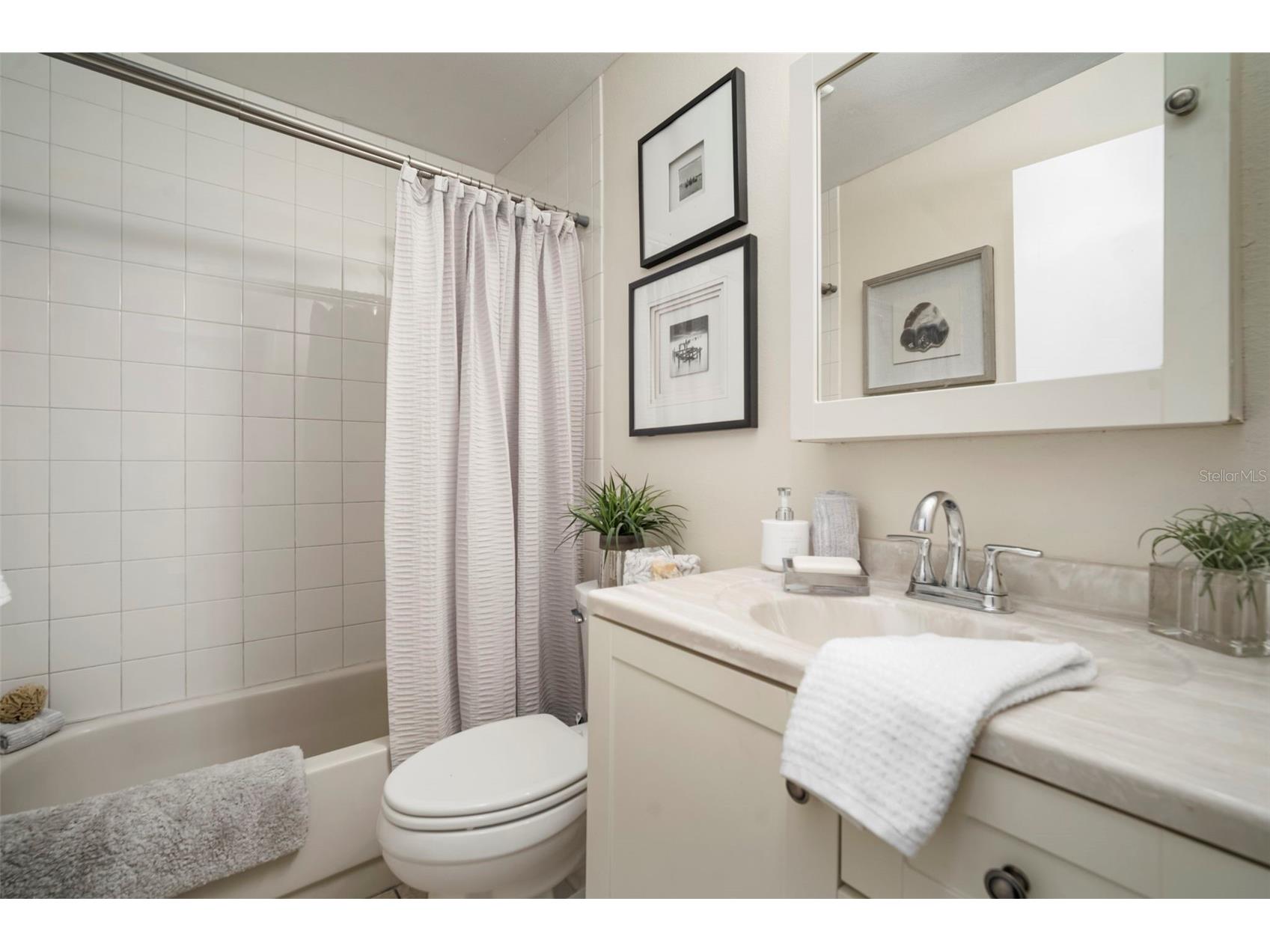 11305 Silverleaf Court Riverview FL 33579 TB8437449 image10