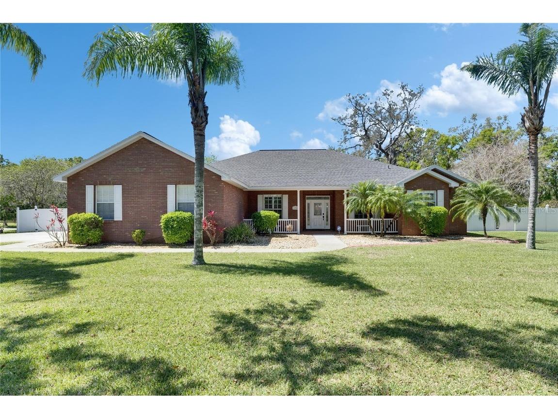 11305 Tralee Drive Riverview FL 33569 TB8360645 image1