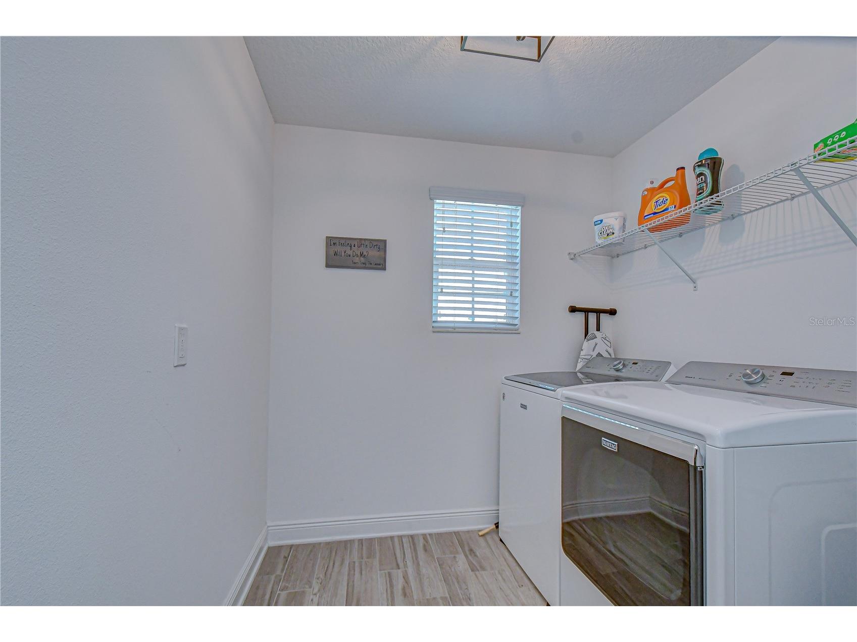 11306 Green Harvest Drive Riverview FL 33578 TB8506317 image26