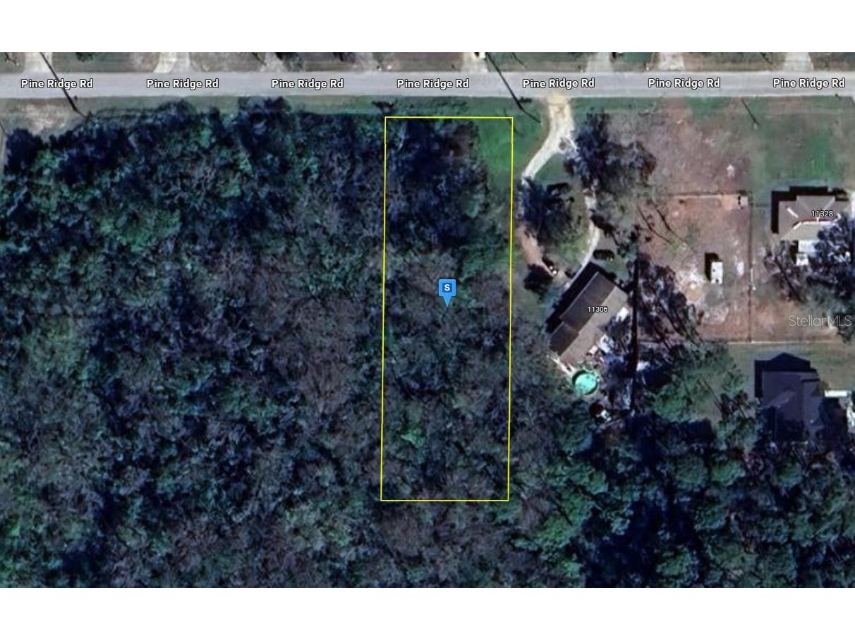 11306 Pine Ridge Road Leesburg FL 34788 A4659891 image1