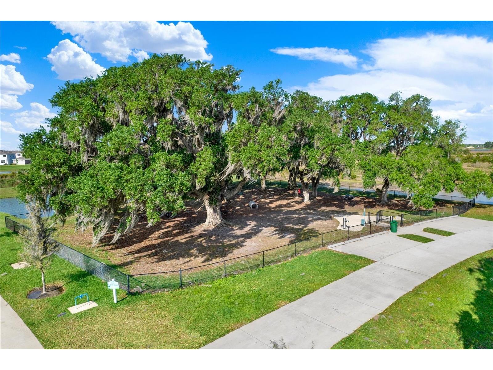 11307 Linden Depot Road San Antonio FL 33576 TB8487367 image60