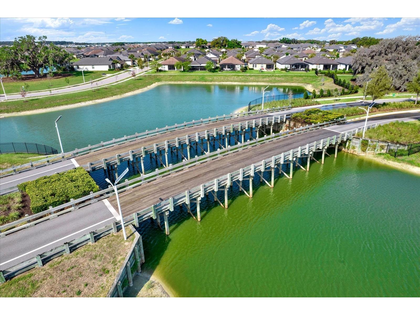 11307 Linden Depot Road San Antonio FL 33576 TB8487367 image61