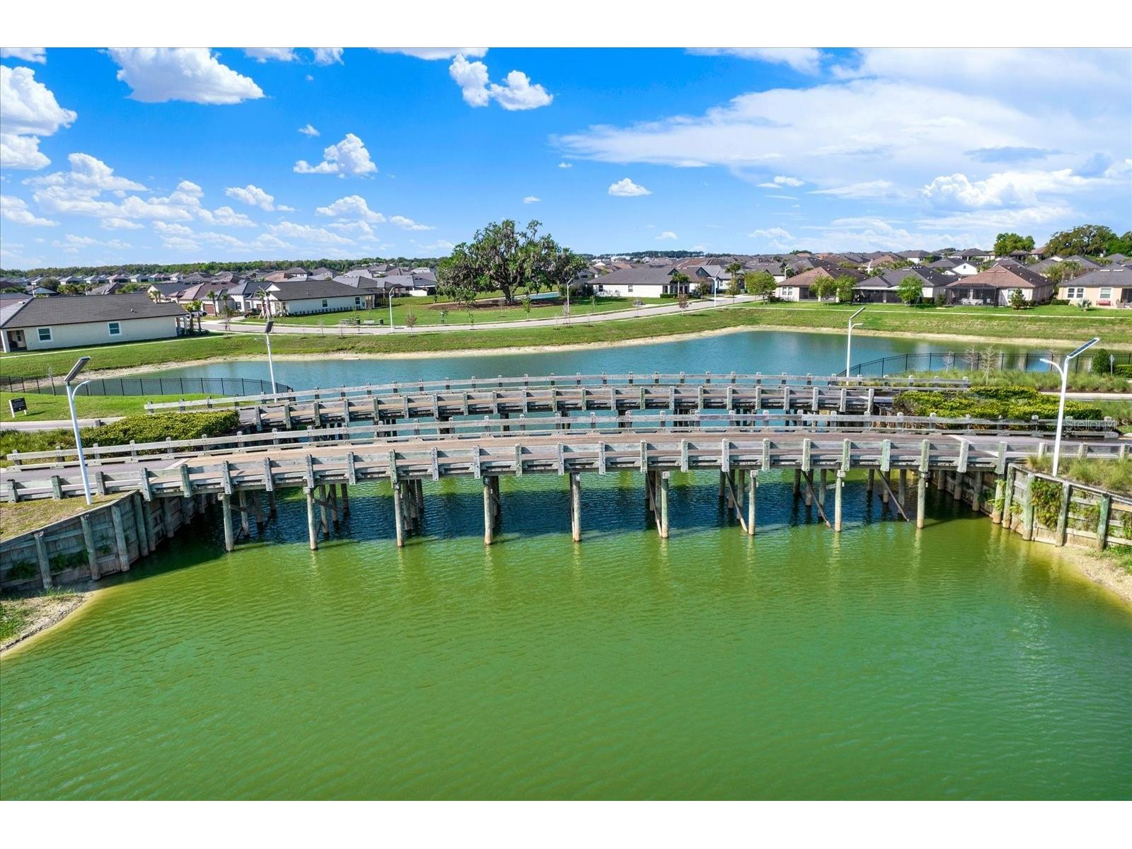 11307 Linden Depot Road San Antonio FL 33576 TB8487367 image62