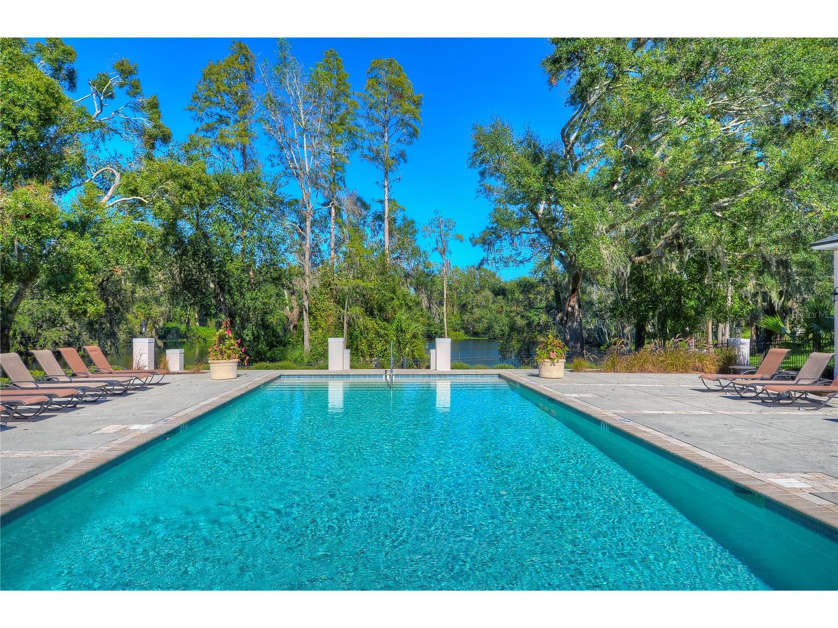 11308 Wickersley Place Tampa FL 33625 TB8486699 image57