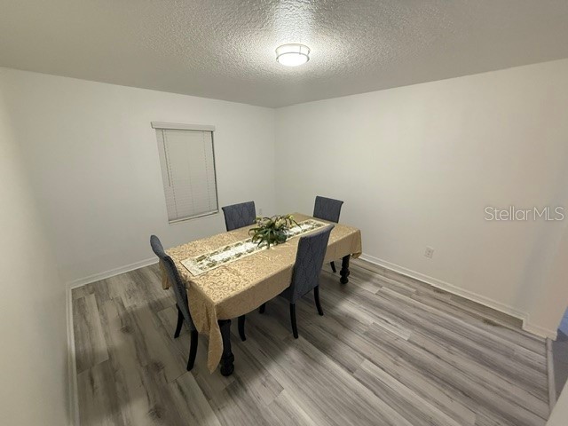 11309 Brighton Knoll Loop Riverview FL 33579 O6406389 image50