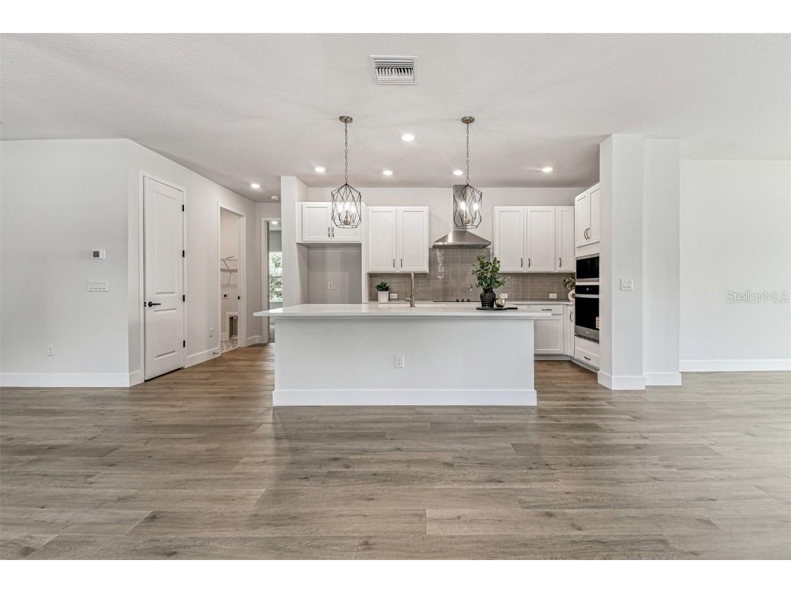 11309 Hardwood Hammock Lane Riverview FL 33569 TB8436386 image4