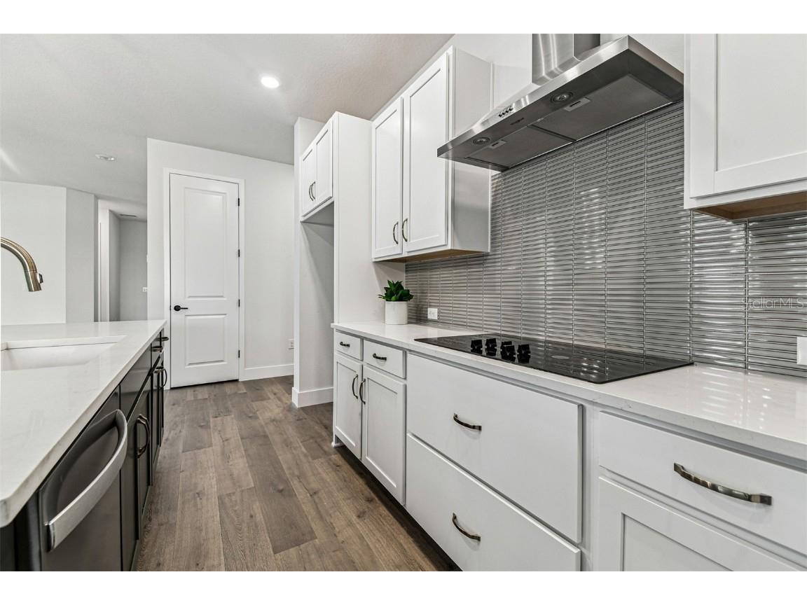 11309 Hardwood Hammock Lane Riverview FL 33569 TB8436386 image8