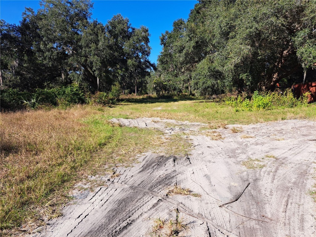 11309 SE Hwy 42 Summerfield FL 34491 OM713644 image2