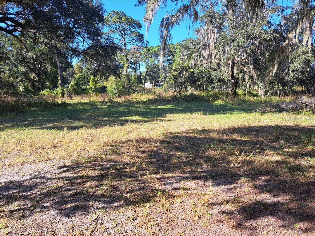 11309 SE Hwy 42 Summerfield FL 34491 OM713644 image3